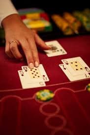 556 bet vip