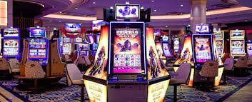 556 bet vip