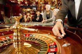 556 bet vip