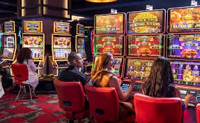 556 bet vip