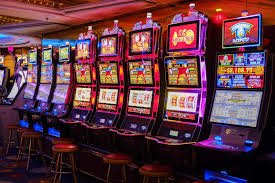 556 bet vip